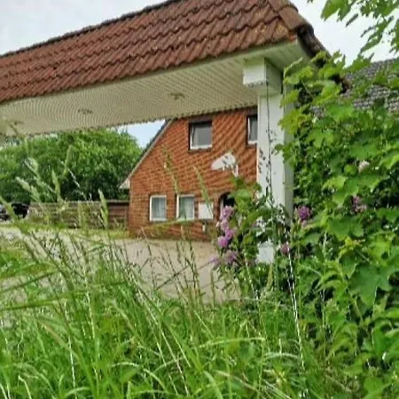 zum Aal Apartment